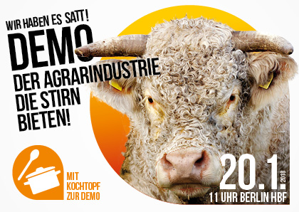 whes2018_banner_rind_420x298